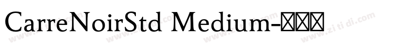 CarreNoirStd Medium字体转换